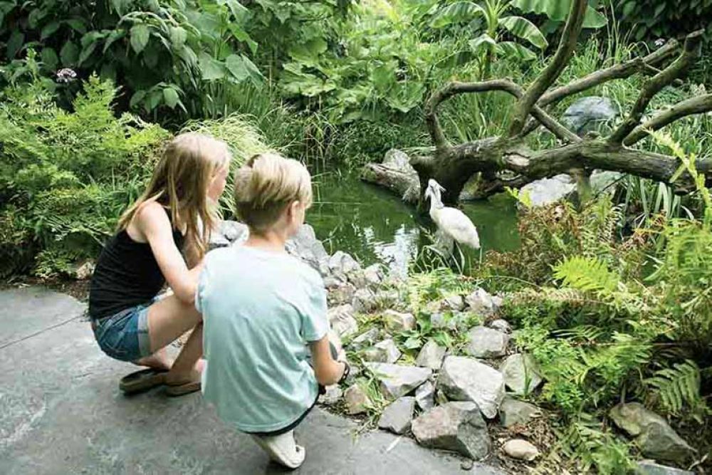 parc attractions france